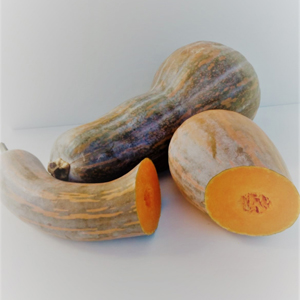 Aspilla - Gernika kalabaza (kg)